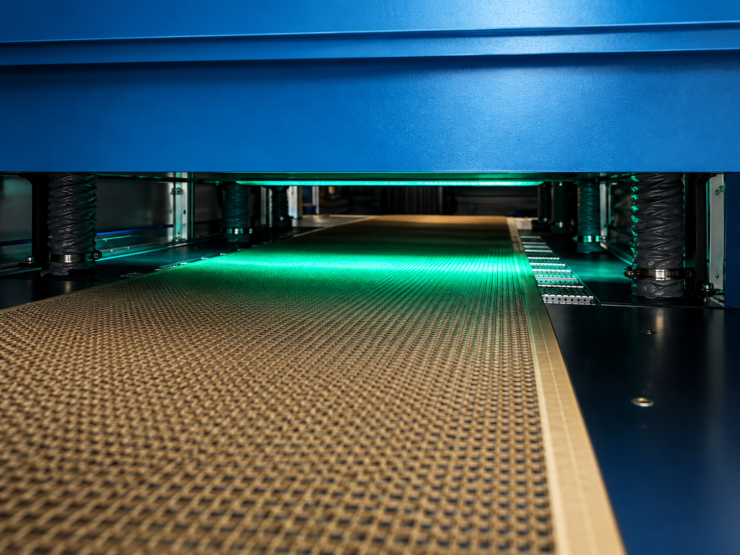 Zona di processo UV con nastro trasportatore industriale